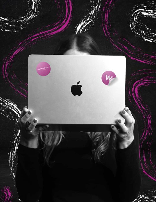 Consultoría y asesoría profesional